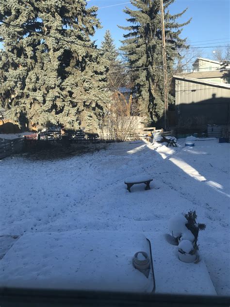 Just Some Canadian Winter Backyard Ryourwindow