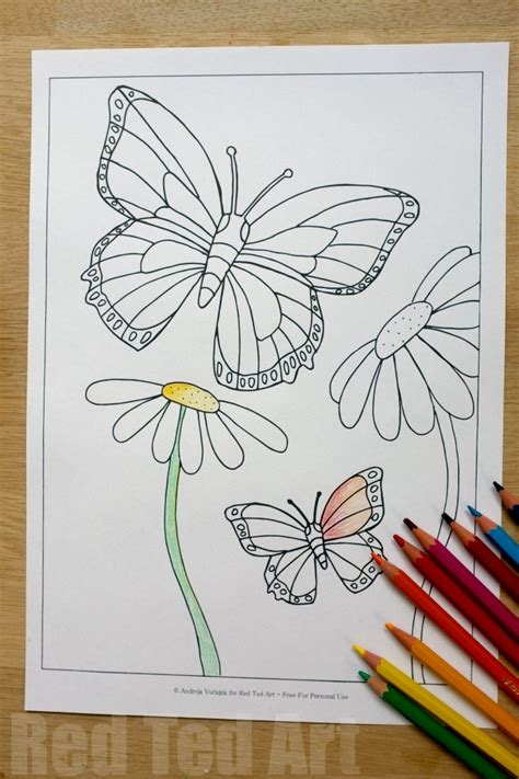 Some butterfly drawings are done in #2 pencil, but of course the colored butterfly drawings have a greater visual effect. Summer Colouring Pages for Kids - Butterflies and Flowers ...
