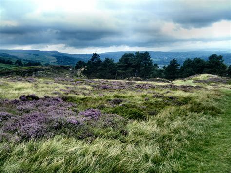 Yorkshire Moors Landscape Wuthering Heights Nature
