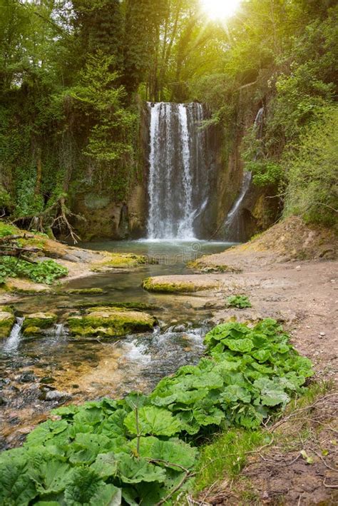 Beautiful Waterfall In Green Forest Among Trees Stock Image Image Of