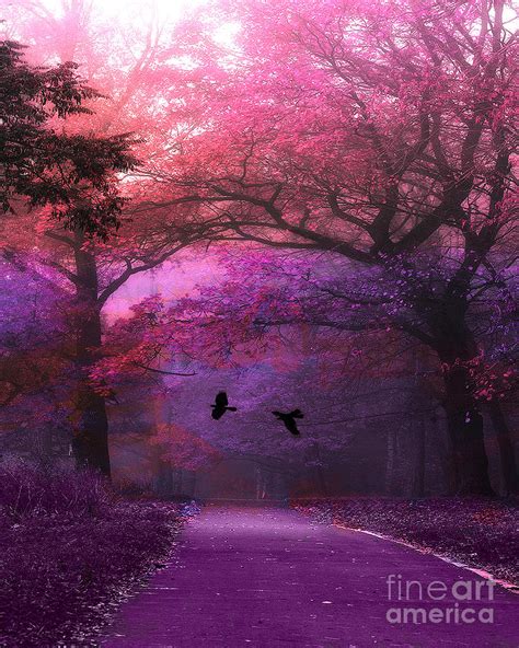 Surreal Fantasy Purple Pink Autumn Fall Nature Woodlands Purple