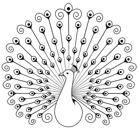 A Swirly Peacock Peacock Coloring Pages Peacock Drawing Peacock Sketch