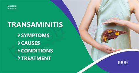Transaminitis Symptoms Causes Conditions And Treatment Gpsh