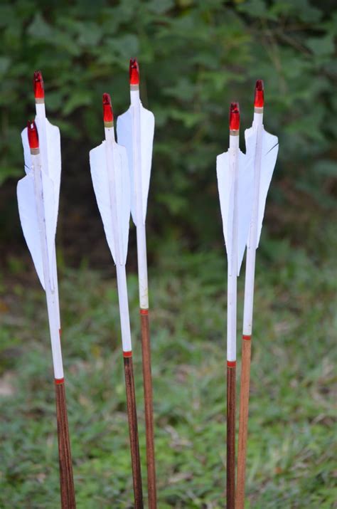 Archery Arrows Wood Archery Arrows Set Of 6 White Dipped Etsy
