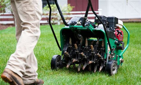 The Dos And Donts Of Lawn Aeration Better Housekeeper