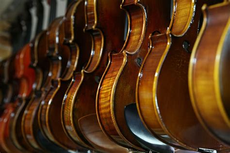 Sonido Violín Música Tiendas De Instrumentos Instrumento