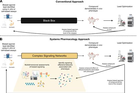 Gpcr Systems Pharmacology A Different Perspective On The Development