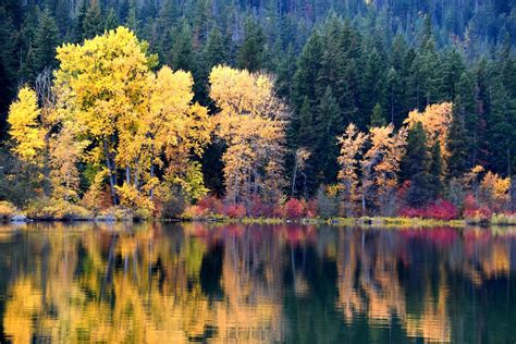Best Time To See Washington Fall Colors 2023 When To See Roveme