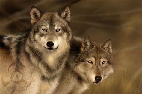 Most consider an animal a wolf hybrid if they have a pure wolf ancestor. Wolves - Wolves Fan Art (1170832) - Fanpop