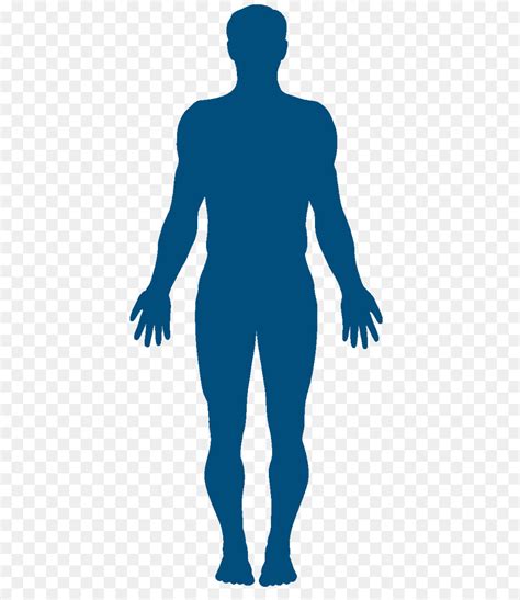 Silhouette Human Body Woman Art Human Body Png Download 9872332