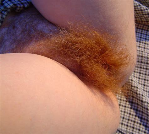 One HAIRY Ginger Cunt Lickit