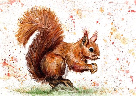 Red Squirrel Print Red Squirrel Watercolour Red Squirrel Etsy Uk