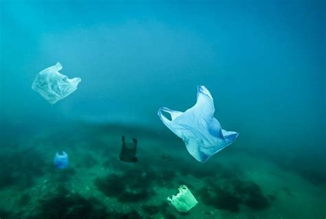 Salah Satunya Indonesia Inilah Negara Negara Penyumbang Sampah Plastik
