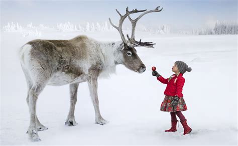 Santa And Reindeer Wallpaper Davidbabtistechirot