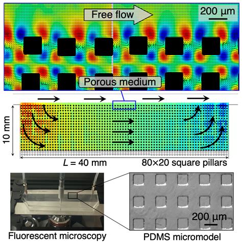 Flow And Transport Porous Media Thermo Fluids Interfaces Lab