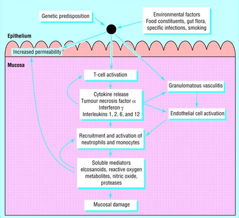 Management Of Crohns Disease The Bmj