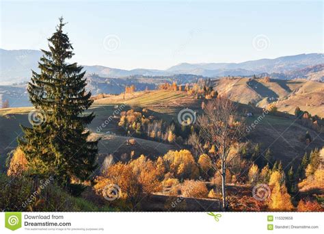 The Mountain Autumn Landscape With Colorful Forest Stock Photo Image