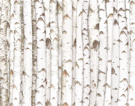 Birch Tree Wallpaper Patterns