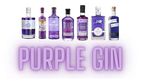 Purple Gin How The Colorful Spirit Gets Its Shade Who Makes It And How To Use It In A