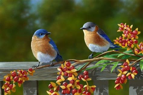 Blue Bird Wallpaper ·① Wallpapertag