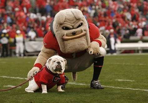 College Football 2011 The 50 Best Mascots In College Football News Scores Highlights Stats