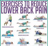 Lower Back Exercises Photos