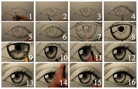 Aprende Cómo Dibujar Ojos Paso A Paso Estilos Diferentes Guía