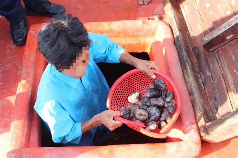 Ceroboh Perairan Negara Apmm Kelantan Tangkap Nelayan Vietnam