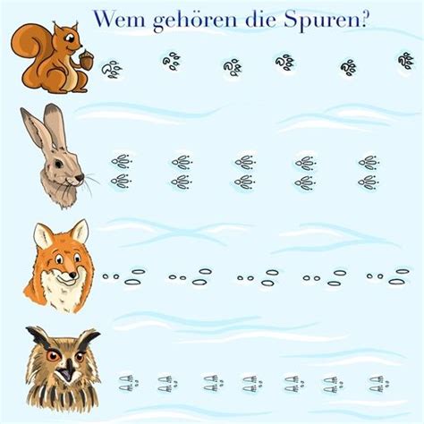 There is a printable worksheet available for download here so you can take the quiz with pen and paper. Tierspuren beim Wandern im Winter entdecken und bestimmen