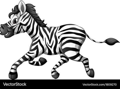 A Zebra Running Royalty Free Vector Image Vectorstock
