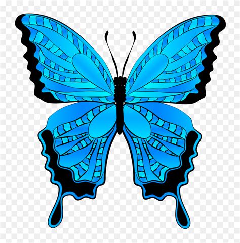 Blue Butterfly Butterfly Clipart Butterfly Png Butterfly Png Images