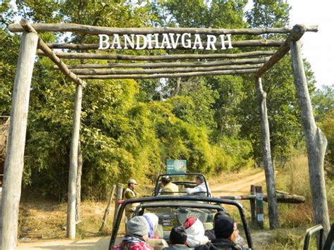 Bandhavgarh National Park Travel Guide Thetravelshots