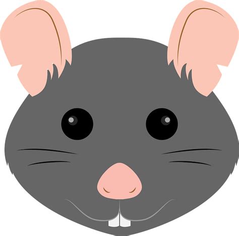 Rat Face Clipart Free Download Transparent Png Creazilla