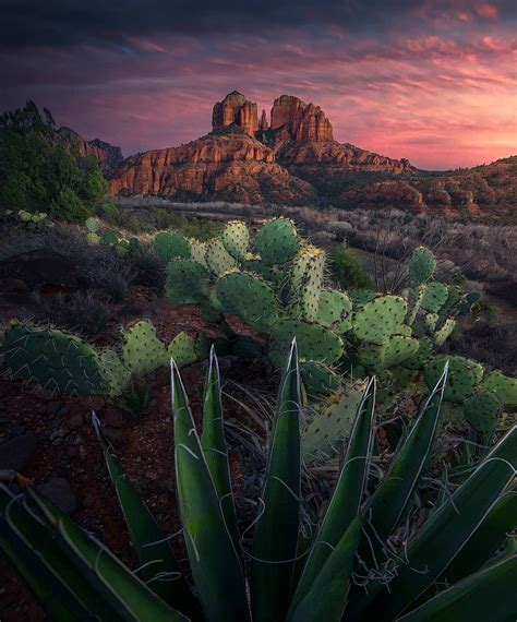 Desert In The American Southwest Mostbeautiful