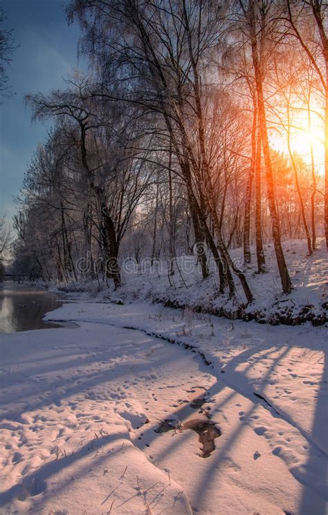 Wonderful Winter Scene Stock Photo Image Of Natural 67577446
