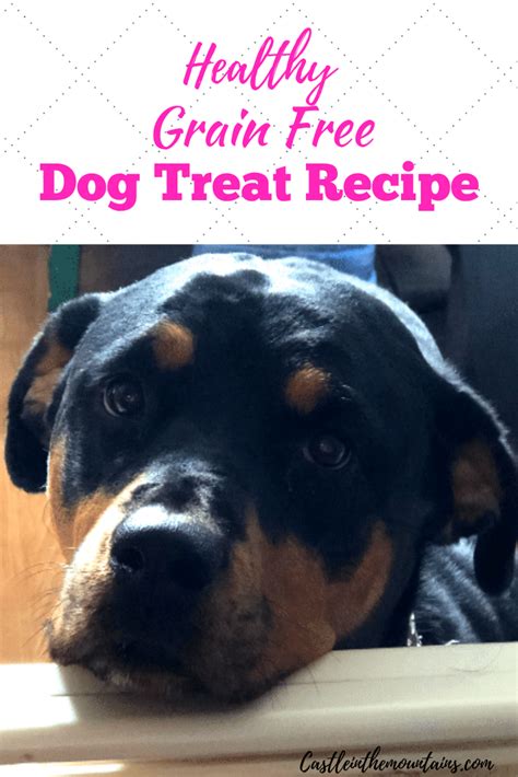 Have a pudgy dog you still want to give a treat to once in a while? Keto Dog treat Recipe. Grain free & Gluten Free | Recipe ...
