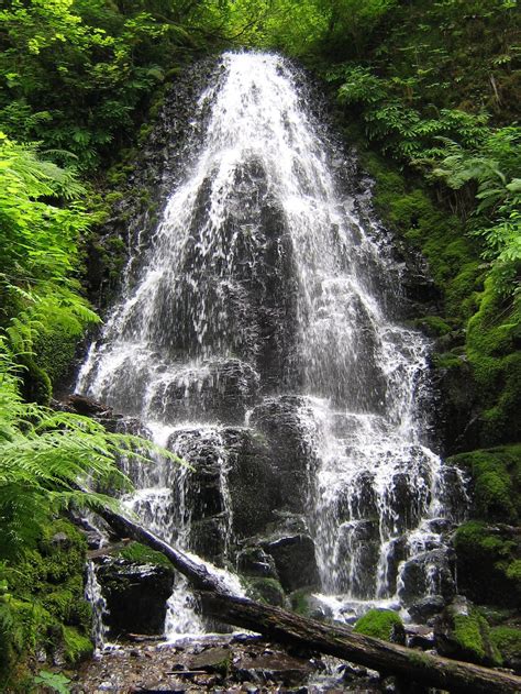 Fairy Falls In The Columbia Gorge Smithsonian Photo Contest