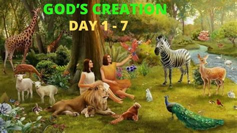 god s creation day 1 7 creation story creation gods creation