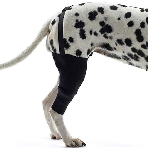 Buy Plafueto Dog Knee Support Sleeve Dog Leg Brace Rear Dog Hock
