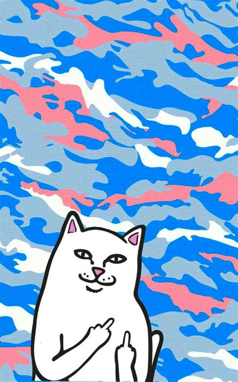 Used as background since this image contains transparency. Pin on Ripndip