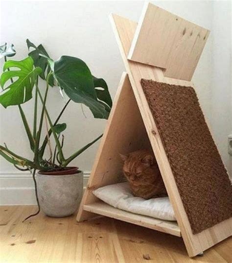 6 Unique Cat Bed Ideas With Pet Furniture Diy Cat Tent Cat House Diy