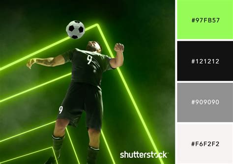 Sports Color Palettes For Branding And Marketing Shutterstock
