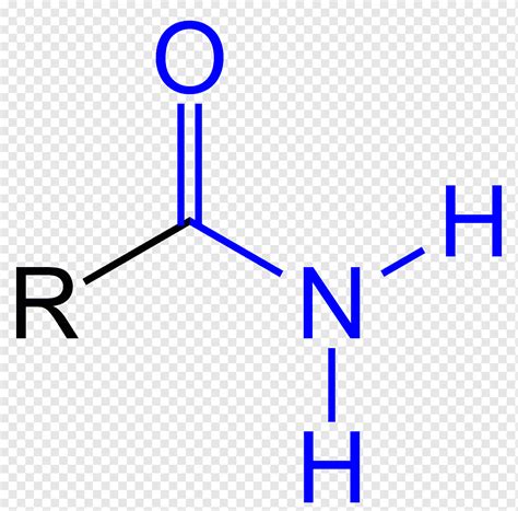 Amide Functional Group Amine Carboxylic Acid Carbonyl Group Formula 1