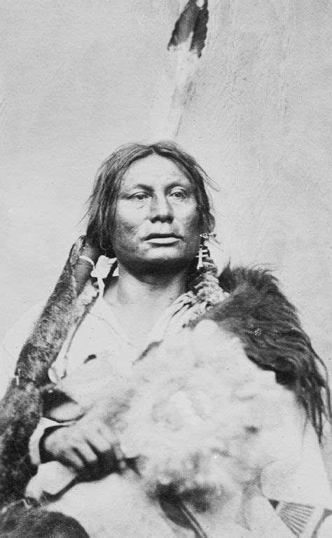 Gall Hunkpapa Lakota 1878 Native American History American Indian