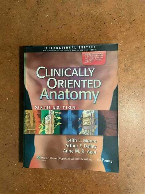 Clinical Oriented Anatomy By Klmoore Hobbies And Toys Books