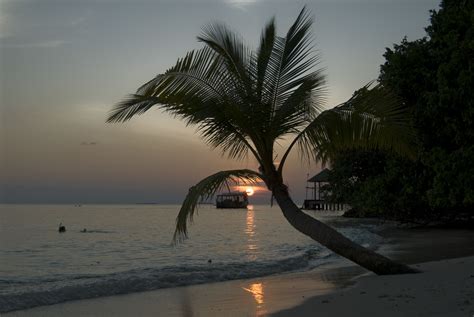 Sonnenuntergang Mit Palme Vilamendhoo Malediven Welt Fotos Niesch