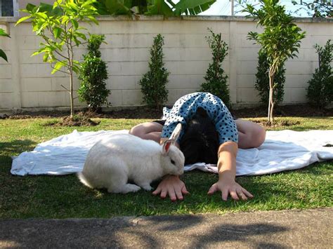 Bunny Stretching Visit My Friends House Ubon Flickr