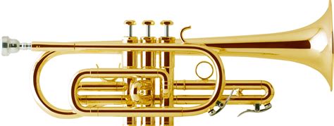 Cornet Vs Trumpet Explained What You Need To Know Orchestra Ensemble