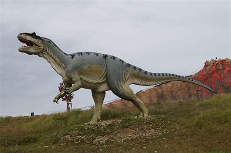 Free Images Predator Fauna Tyrannosaurus Rex Dinosaur Dangerous