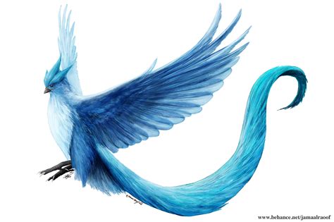 Realistic Articuno On Behance